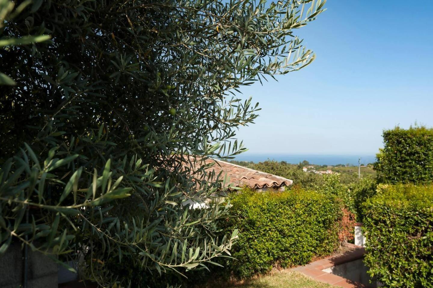 Villa Ginevra Santa Venerina Exterior photo